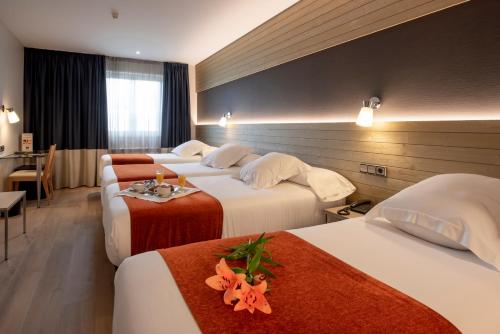 Hotel Avenida Room Type - Family Room