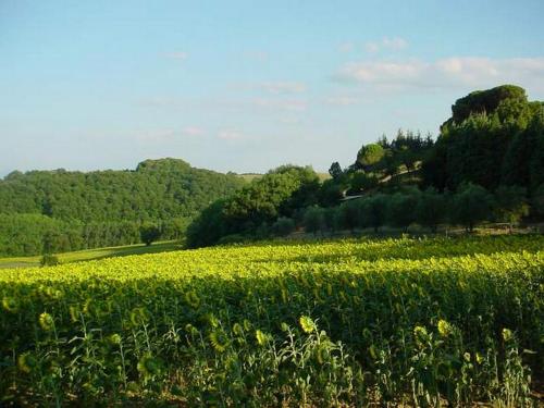 Podere Caldaruccio La Pineta for 18 people