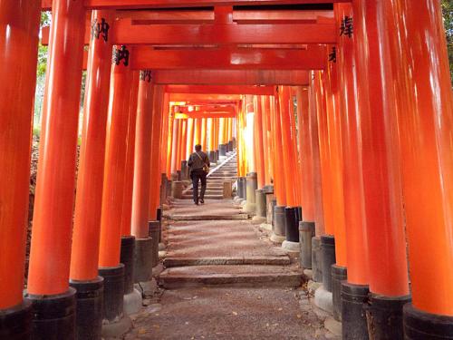 Kyo Fushimi inari house image