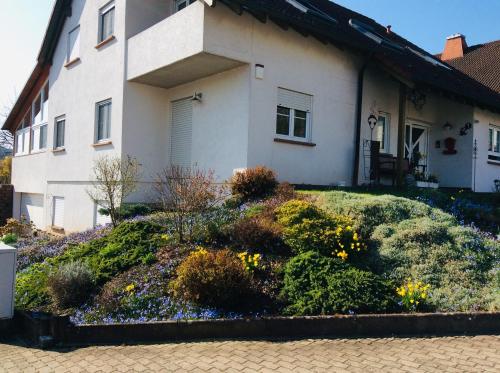 Fernblick in Hornbach