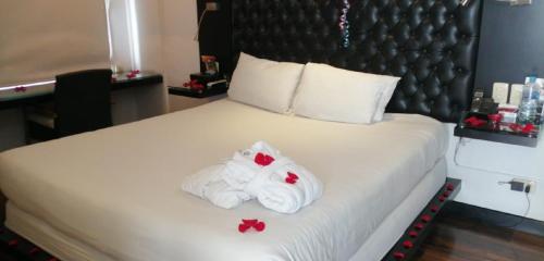 250547694 Hotel 104 Art Suites