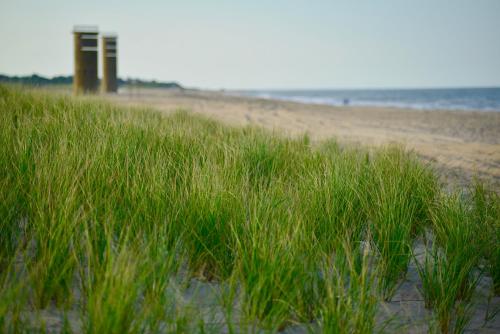 Atlantic Oceanside Dewey