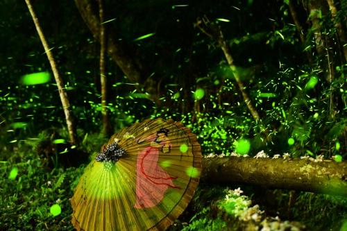 幸福绿光峇里岛渡假会馆