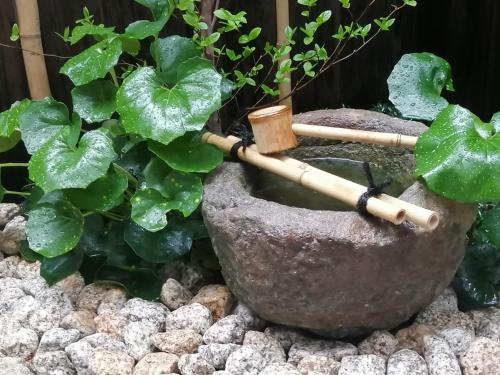 Kyostay Iroha Natsutsubaki – Kyoto, IL