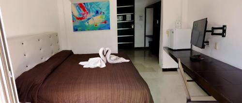 Hotel Plaza Playa – Playa del Carmen, TX