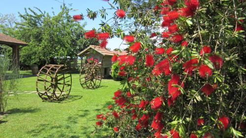 Agriturismo Salcino