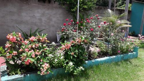 Pousada Tropicaliente Pousada Tropicaliente