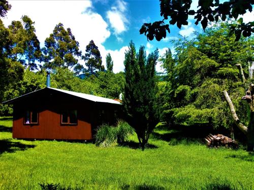 . Cabaña Calcurrupe - Lago Ranco