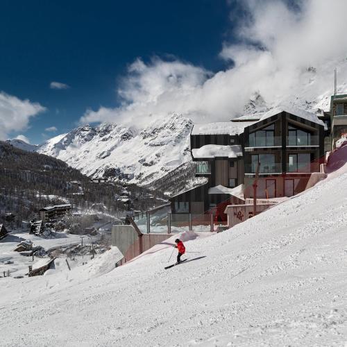 Bergman Mountain Hotel - image 11