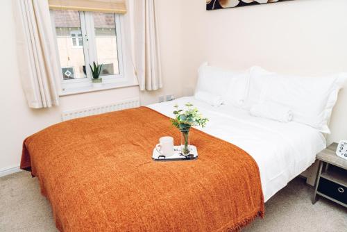 Comfortable Colchester Home gîte à louer Berechurch Hall