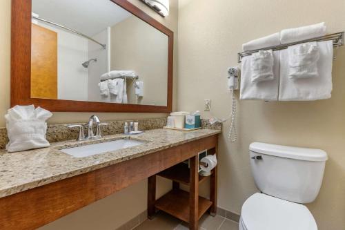 Comfort Inn & Suites Clemson - University Area 