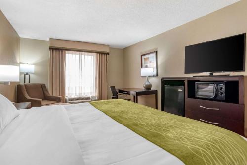 Comfort Inn Pearl