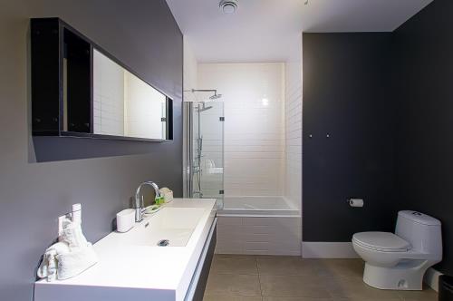 Large One-Bedroom Apartment RC1 image 6