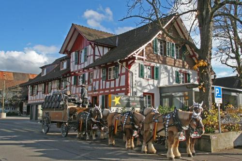  Gasthaus Sternen, Rafz bei Kaiserstuhl