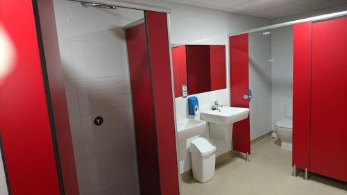 Bunk Bed in Mixed Dormitory Room