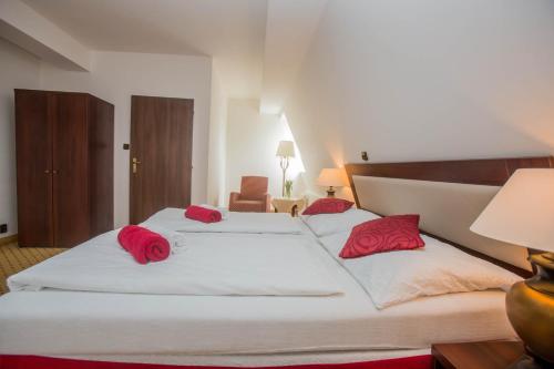 Hotel Koliba - image 7
