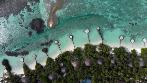 Desobediencia Preocupado Torpe NIKA ISLAND MALDIVES WATER VILLA en Nika Island, Maldivas - opiniones,  precios | Planet of Hotels
