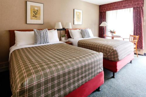 Double Room with Two Double Beds