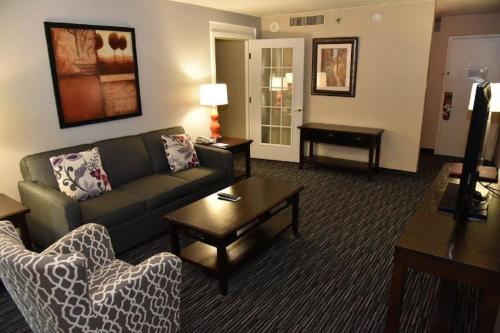 Wyndham Houston near NRG Park/Medical Center