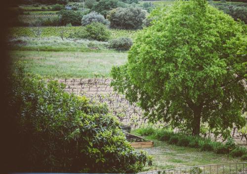 Domaine de Salente - Accommodation - Gignac