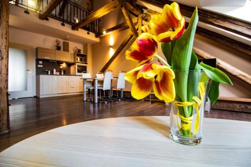 Residence U Černé Věže České Budějovice 4