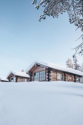 Panorama Log Cabin