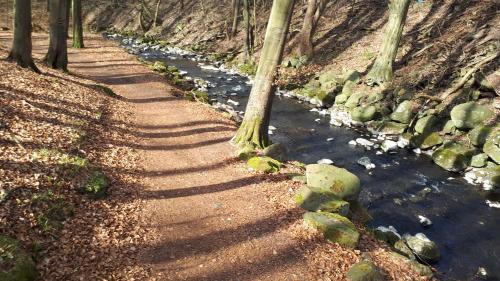 Surrounding environment, Ferienwohnungen! Kleine Bungalows mit Terrasse! in Eschborn