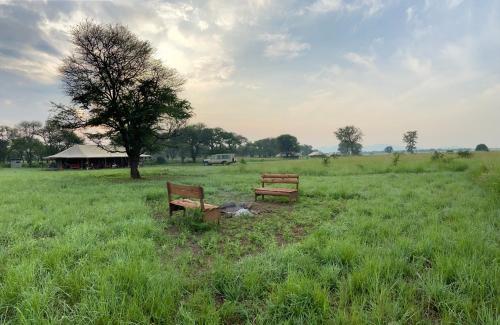 Mediu înconjurător, Zawadi Camp in Serengeti