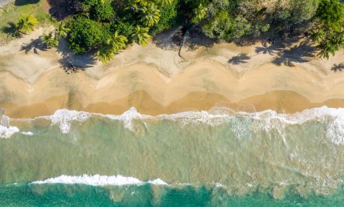 Plantation Beach Villas