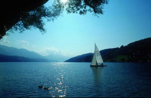 Seehotel Steiner - image 7