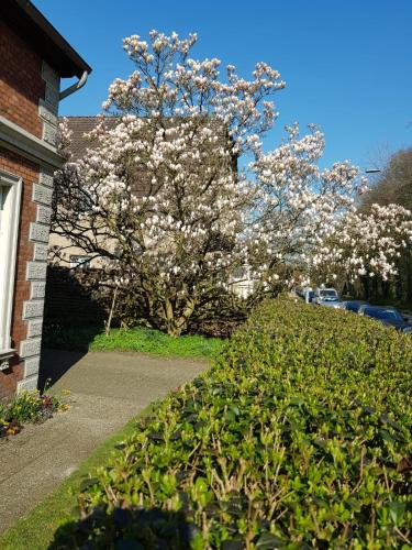 Gartenblick