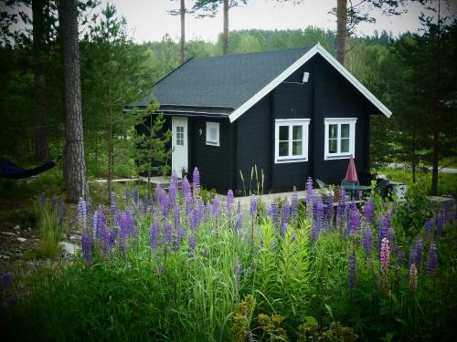 Fröya Timber Cottage - Arvika