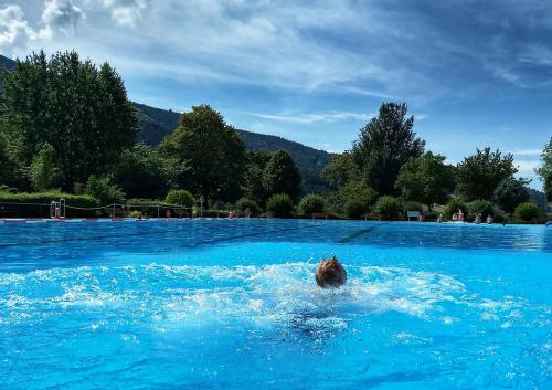 สระว่ายน้ำ, de Vinkenborg 8 pers nabij Winterberg in ซีดลิงเฮาเซิน