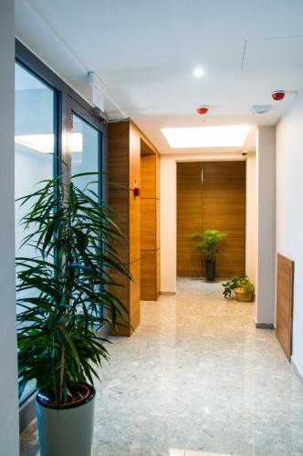 Verde Apartments - image 8