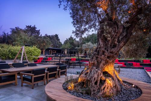 The Stay Alacati Warehouse - image 4