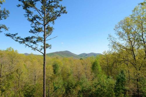 Daze Off by Escape to Blue Ridge - image 8