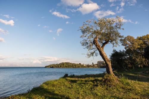 Merlyn Rooms into the nature, 100m from the beach