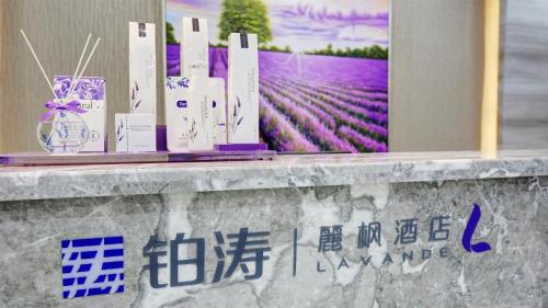 麗枫酒店·成都大丰石犀公园地铁站店 麗枫酒店·成都大丰石犀公园地铁站店