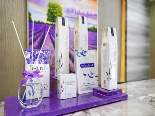 麗枫酒店·成都大丰石犀公园地铁站店 麗枫酒店·成都大丰石犀公园地铁站店