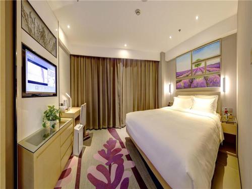 麗枫酒店·成都大丰石犀公园地铁站店 麗枫酒店·成都大丰石犀公园地铁站店