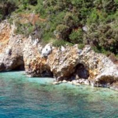 Holiday Home Sea view - image 8