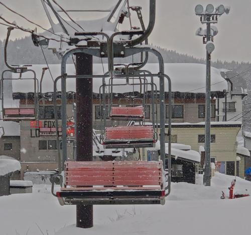 スポーツ/アクティビティ