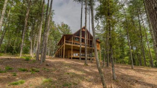 Pine Cone Mountain by Escape to Blue Ridge - image 3