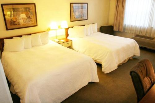 Queen Room with Two Queen Beds - Pet Friendly/Non-Smoking