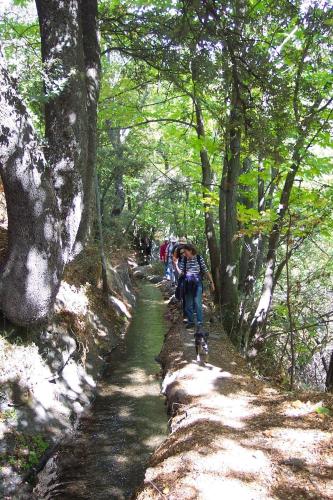 Alojamiento Rural Mirador del Avellano