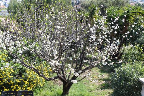 Rez de villa avec beau jardin et belle vue