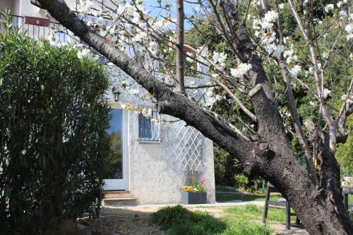 Rez de villa avec beau jardin et belle vue - Location saisonnière - Saint-Laurent-du-Var