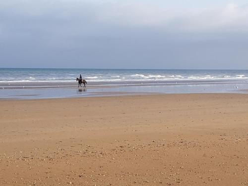 Appartement Cabourg pres de la plage