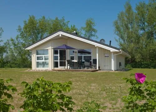 Dänische Ferienhäuser am Salzhaff Haus Strandhafer in Gollwitz, Deutschland