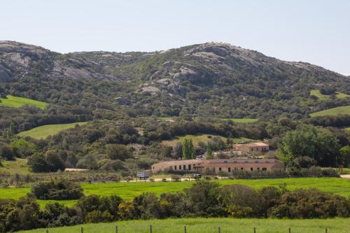 Place around image